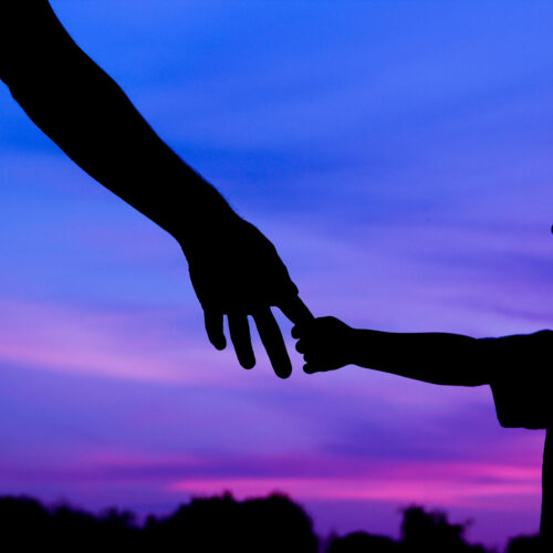 Demanda por nulidad del reconocimiento de hijo